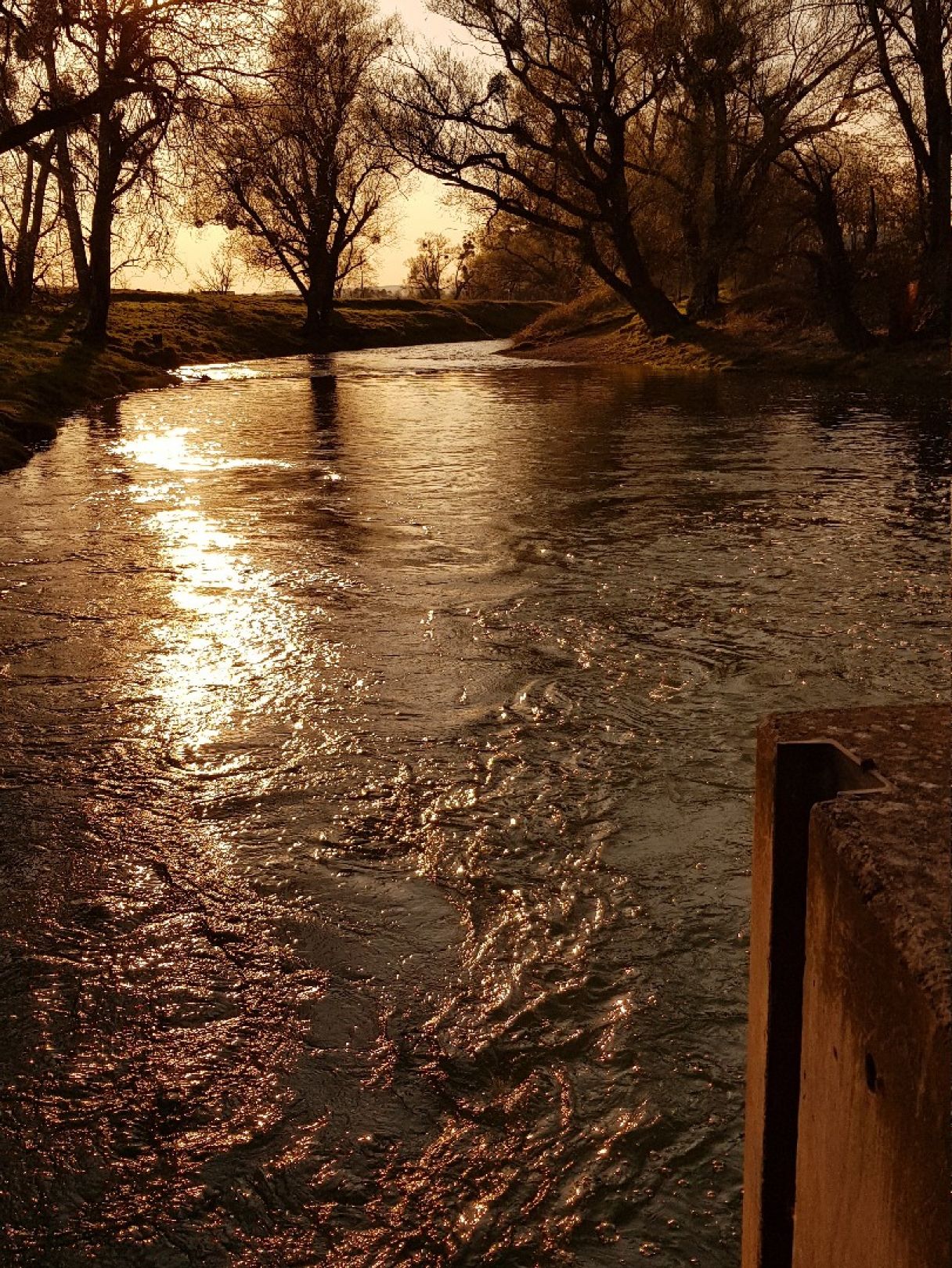 Angeln in Diekholzen