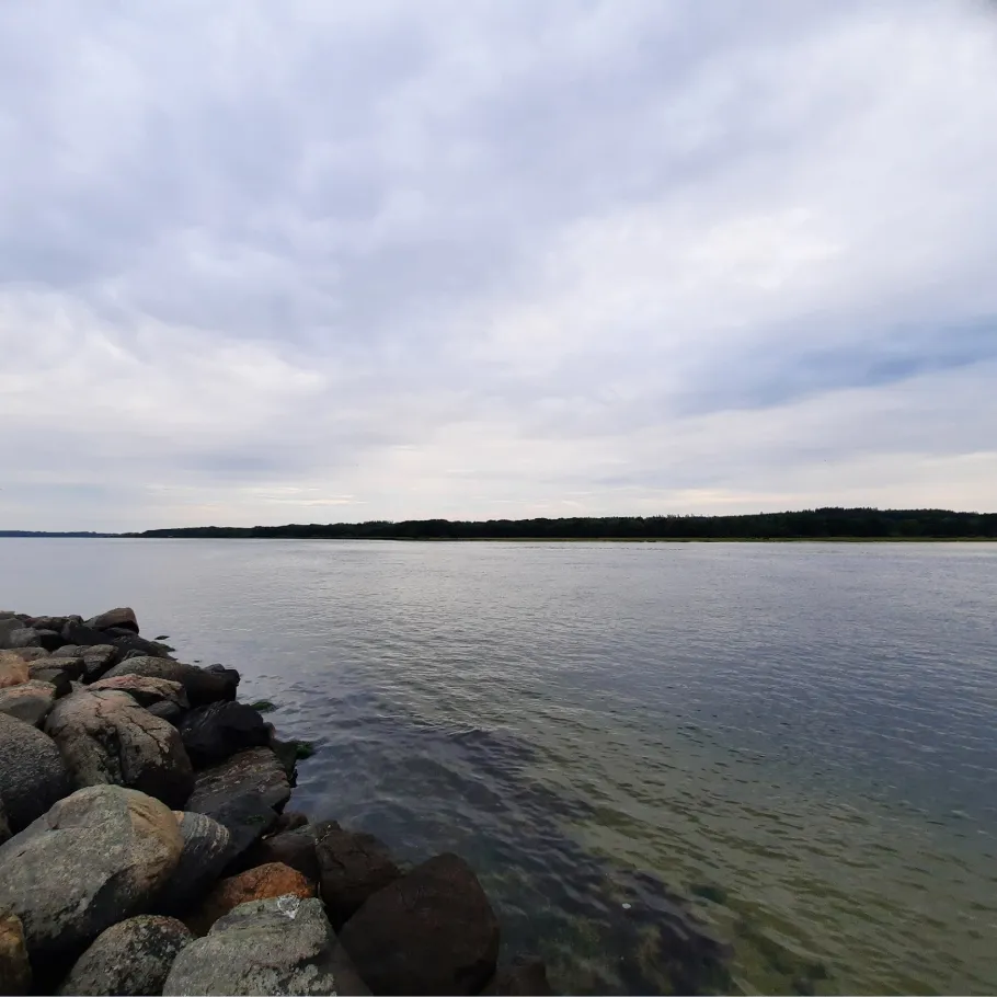 Mariagerfjord angeln