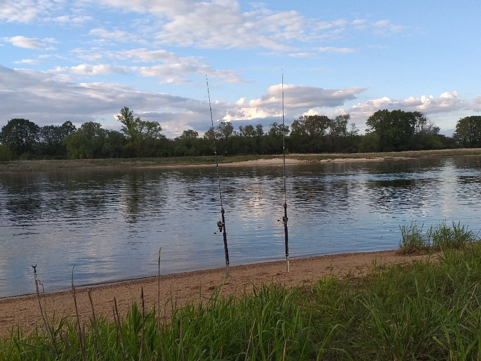 Elbe (Vockerode) angeln