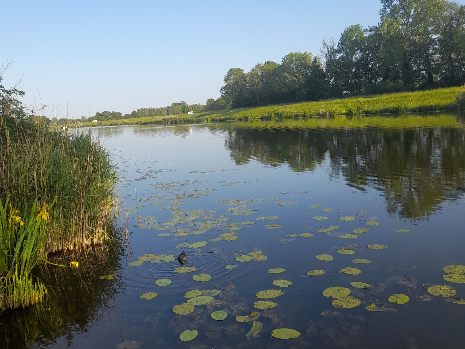 Oude Ijssel (Laag-Keppel) angeln