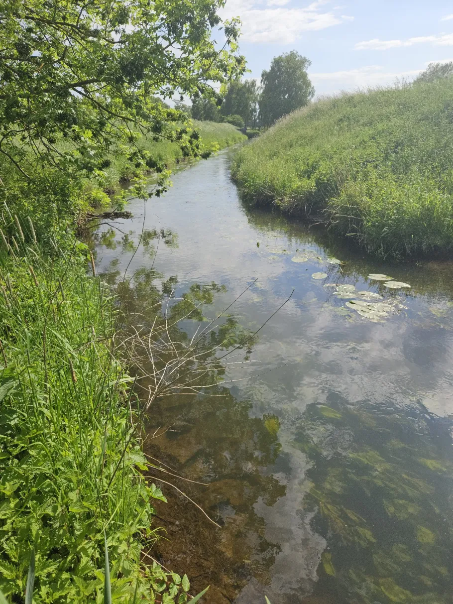 Große Mühlenhase (Quakenbrück) angeln