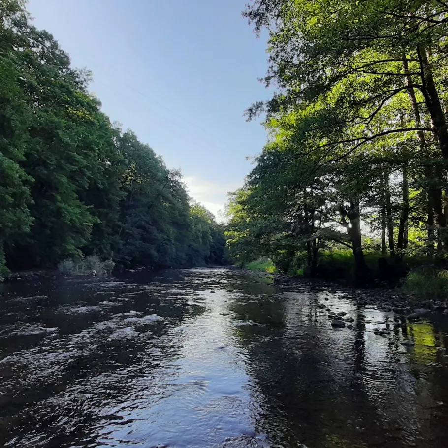 Zschopau (Erdmannsdorf-Augustusburg) angeln