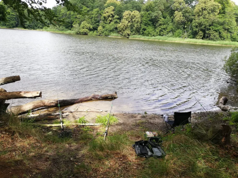 Nebelsee (Mirow) angeln