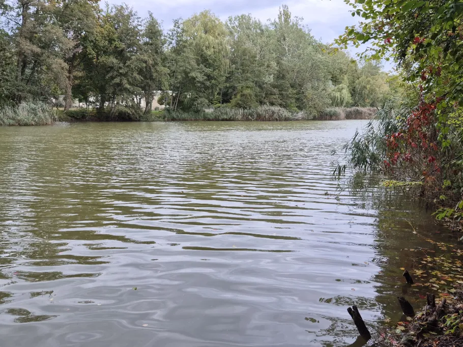Großer Jahnteich (Weißwasser) angeln