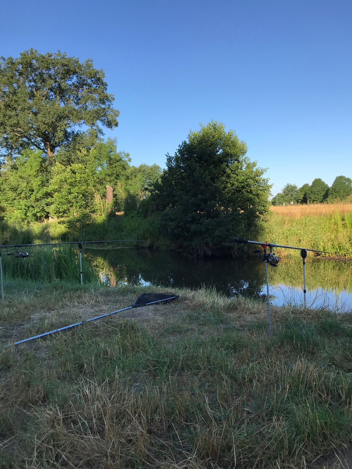 Schwarze-Elster-Kanal (Hoyerswerda) angeln