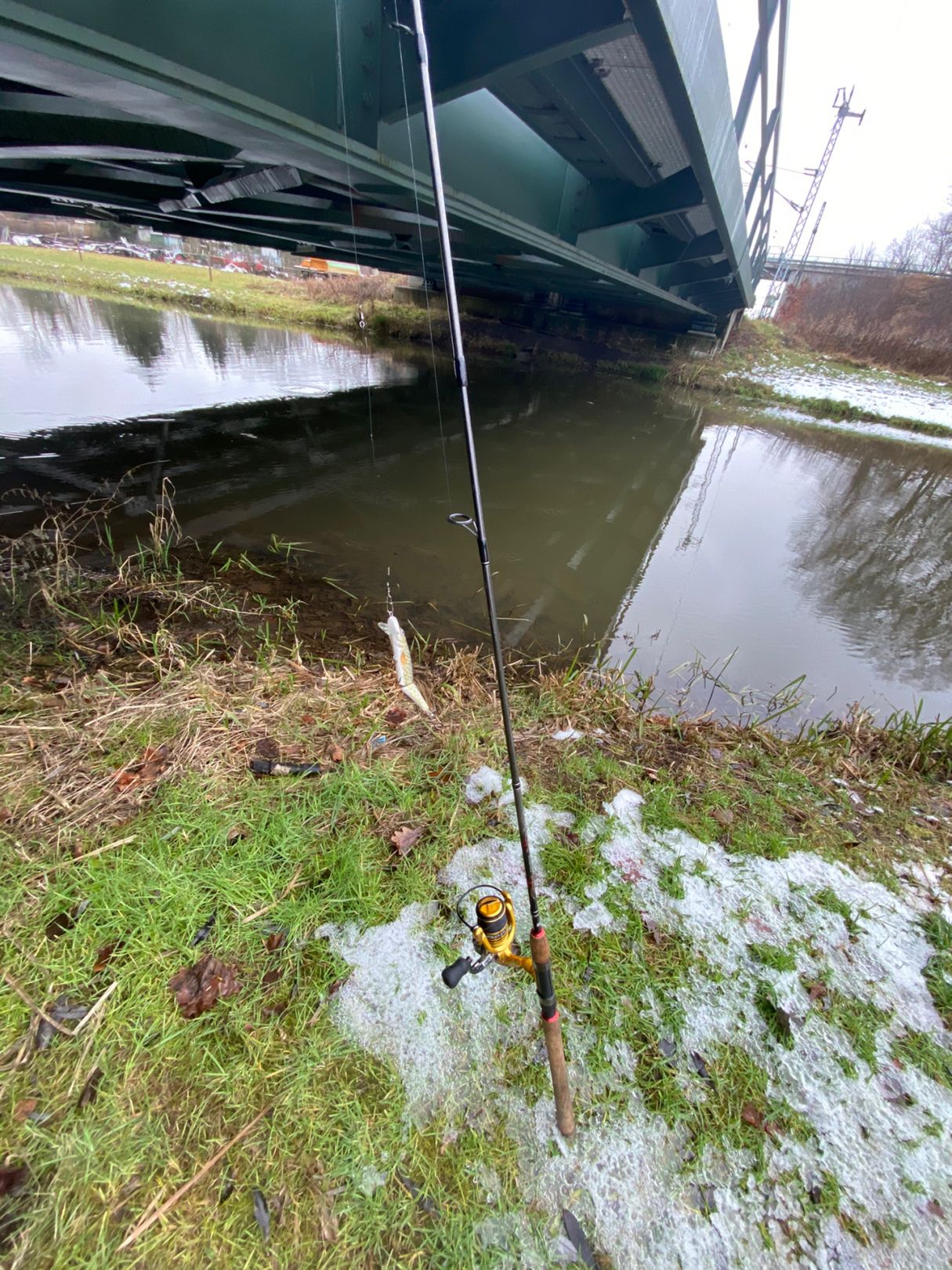 Schwarze-Elster-Kanal (Hoyerswerda) angeln