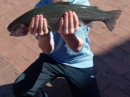 Forellenhof Susse (Lengerich) angeln