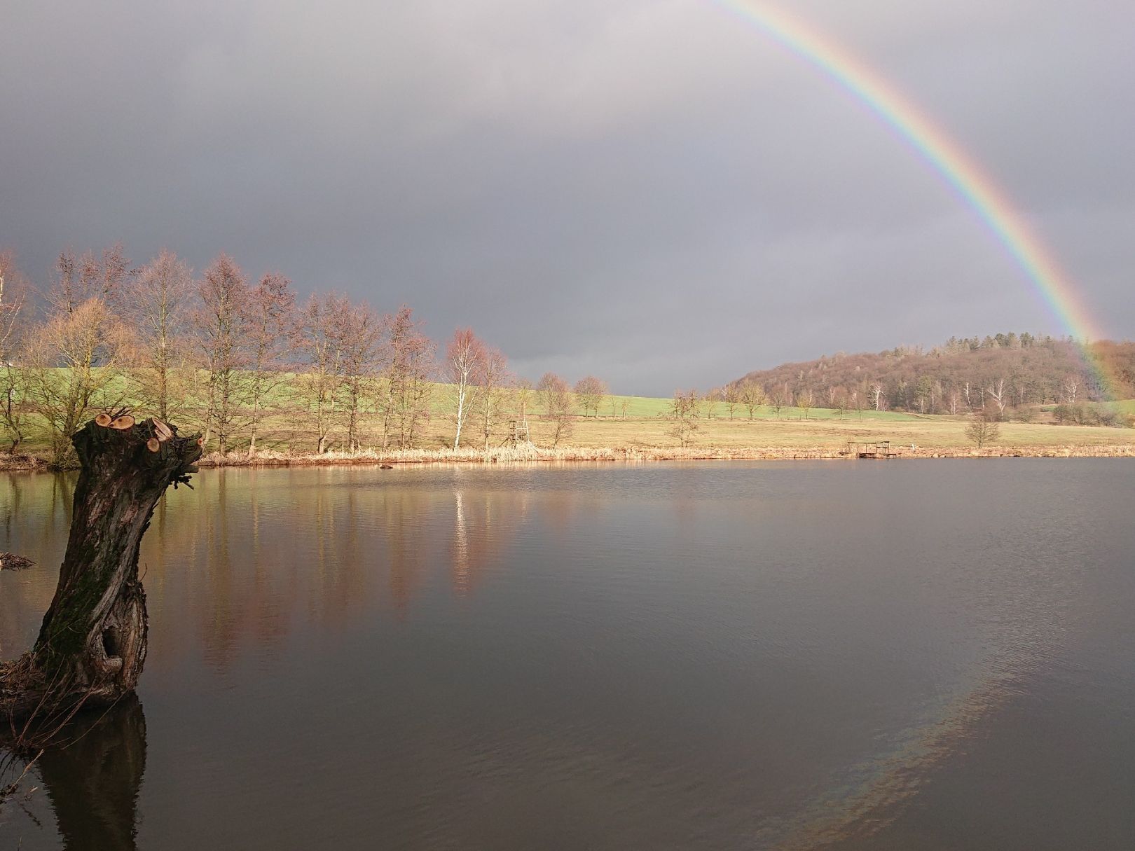 Mittelteich (Hasselfelde) angeln