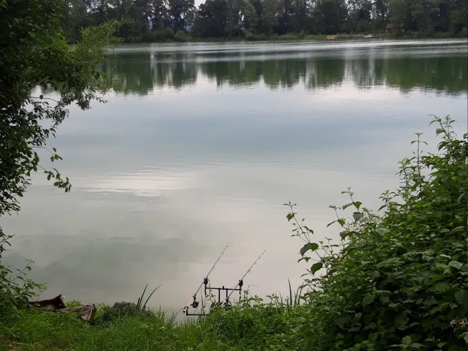 Wehrhauser Baggersee angeln