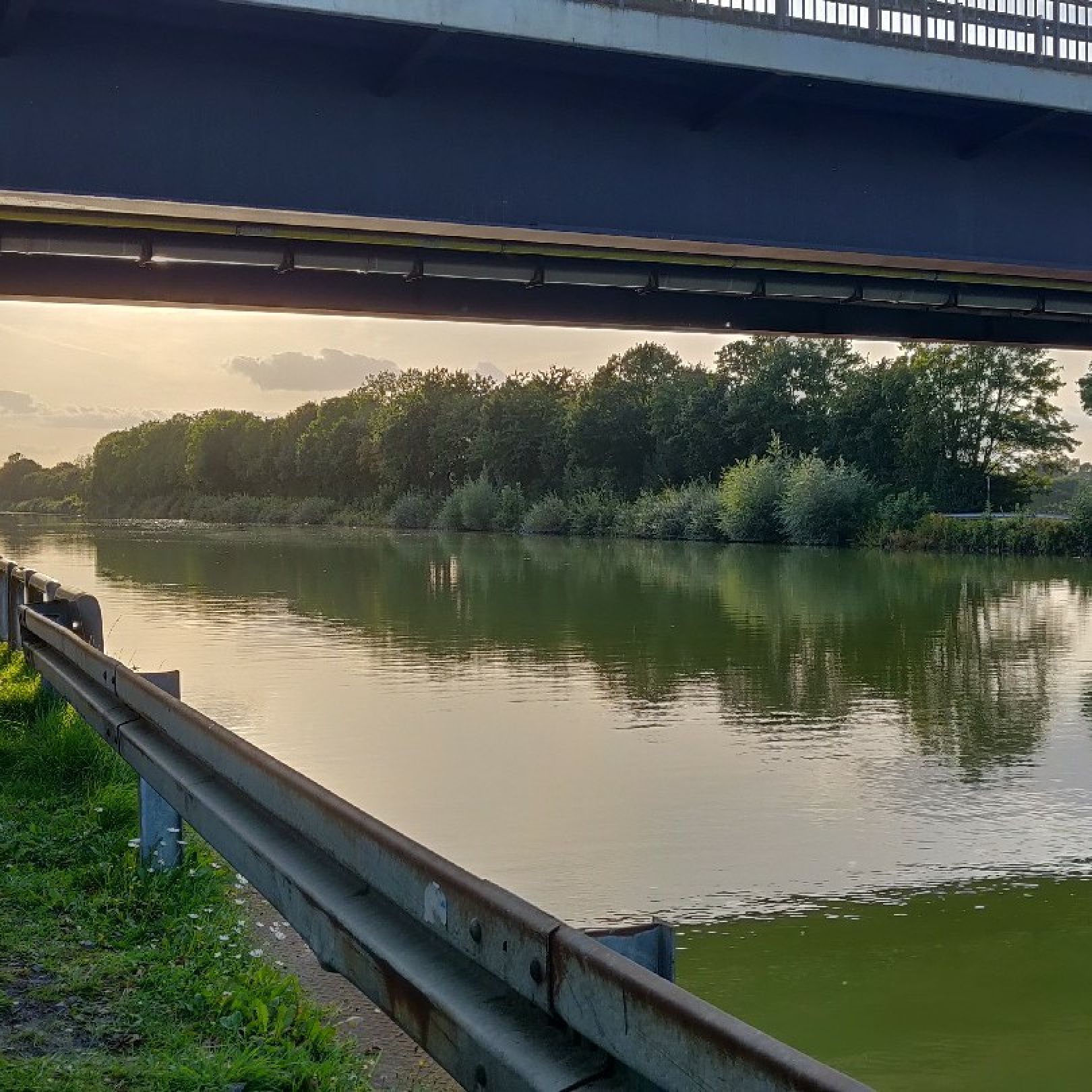 Mittellandkanal (Wunstorf) angeln