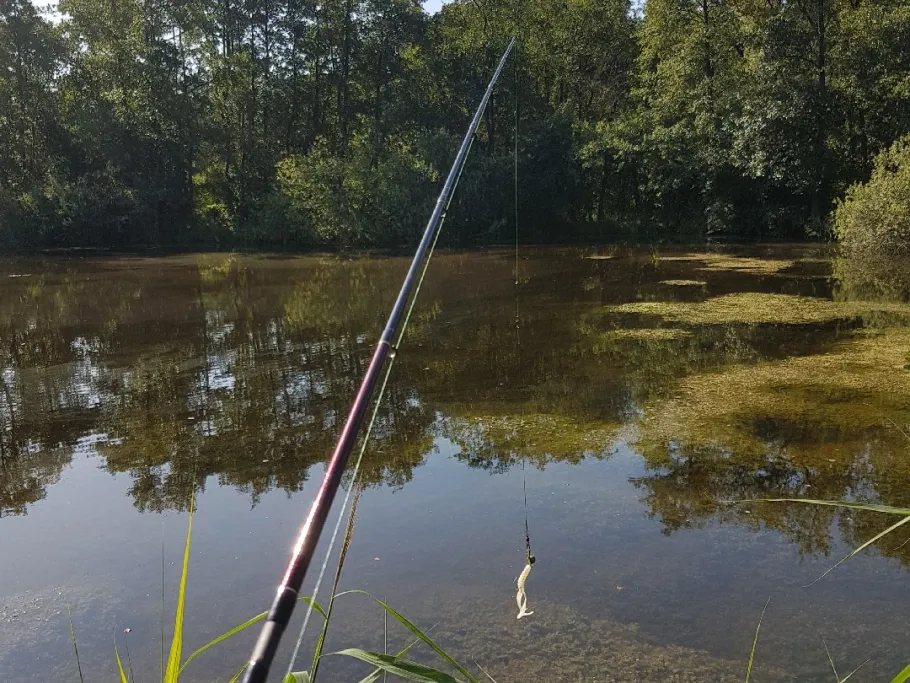 Torfkuhlen (Kessin) angeln