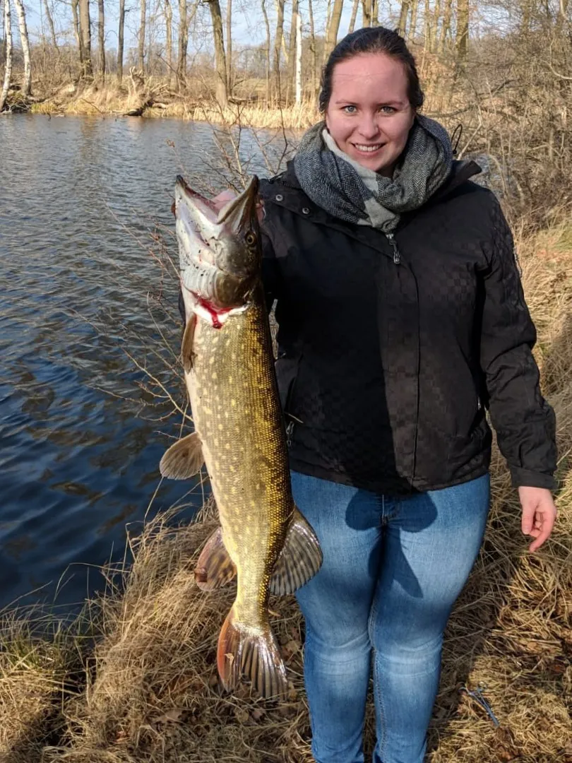 Uecker (Pasewalk) angeln