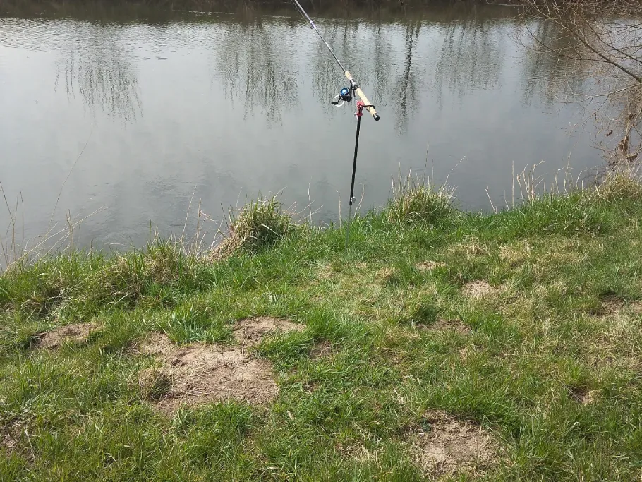 Leine (Alfeld/Leine) angeln