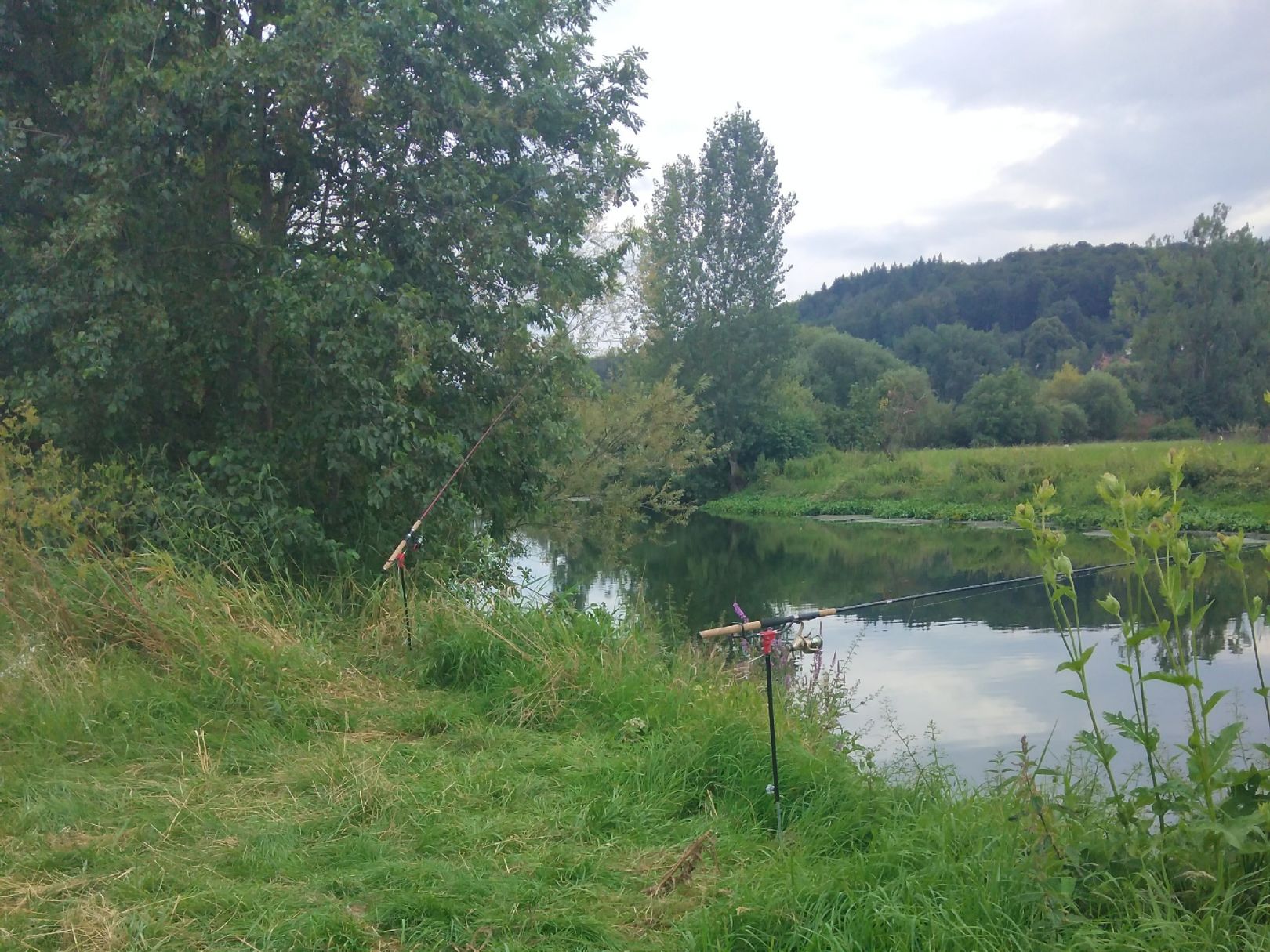 Leine (Alfeld/Leine) angeln
