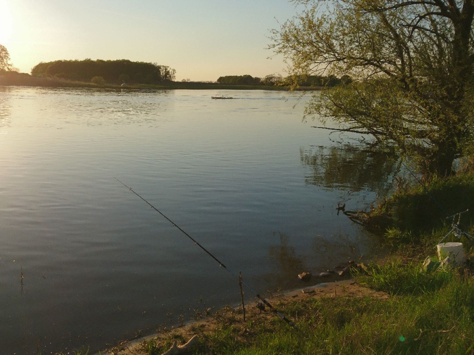 Elbe (Sandau/Elbe) angeln