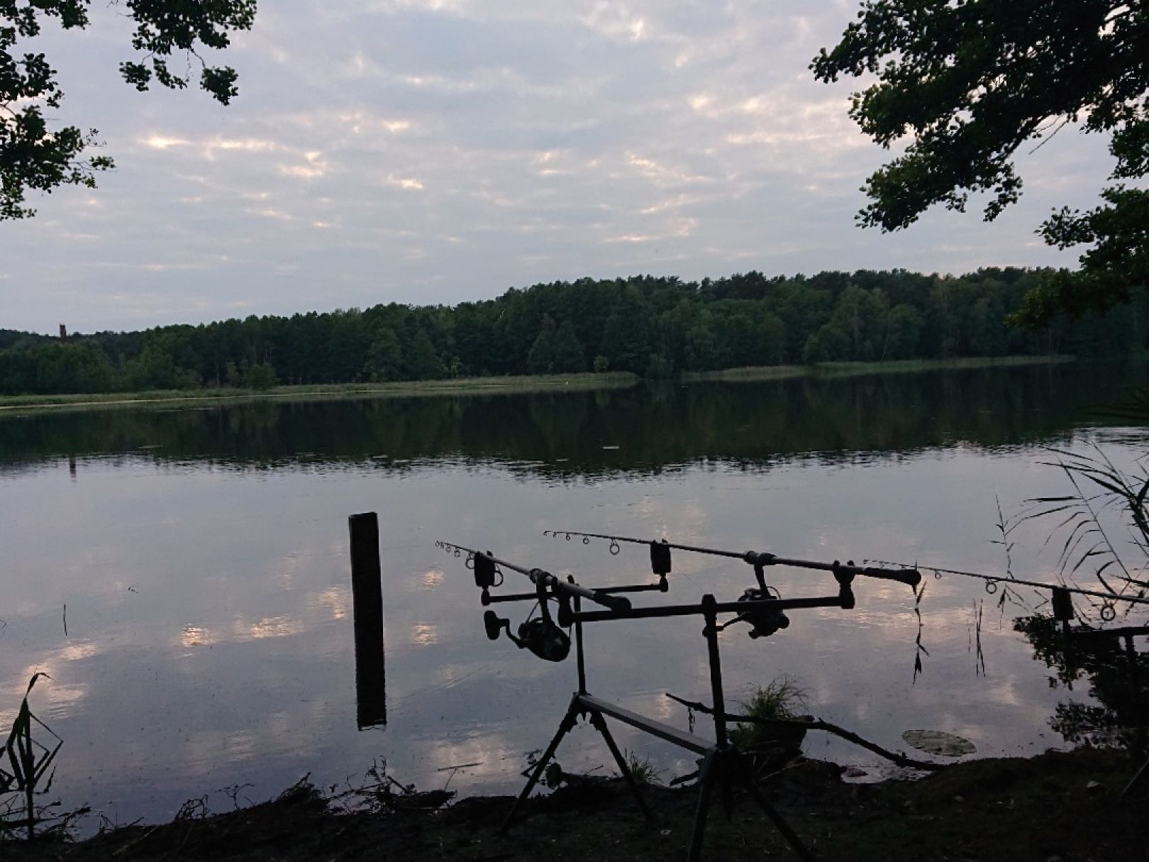 Bauersee (Prenden) angeln