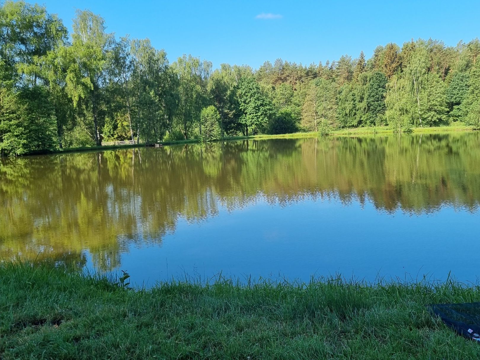 Oberer Weiher (Immenreuth) angeln