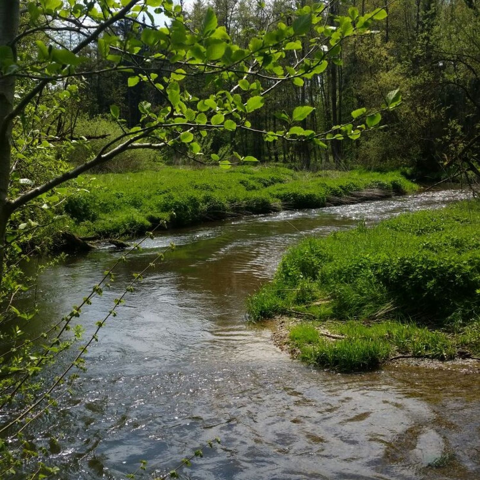 Paar (Ottmaring-Hügelshart) angeln