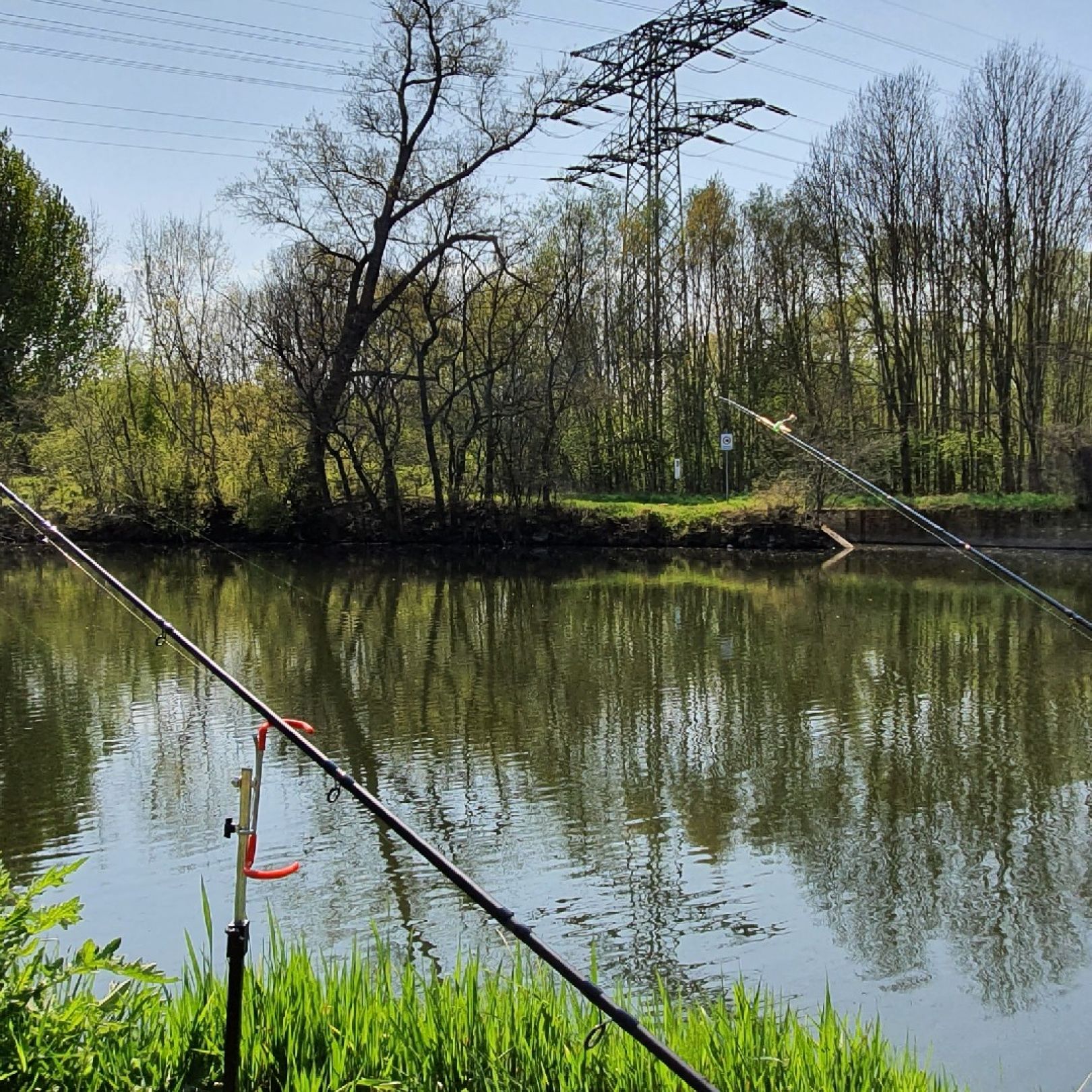 Saale (Merseburg) angeln