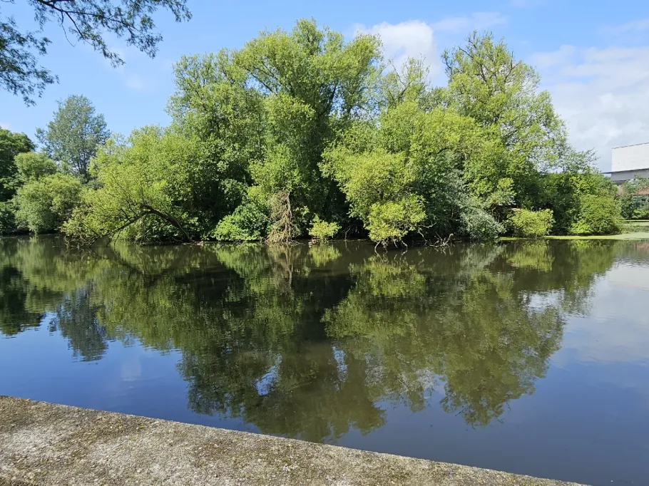 Großer Parksee (Bad Schwartau) angeln
