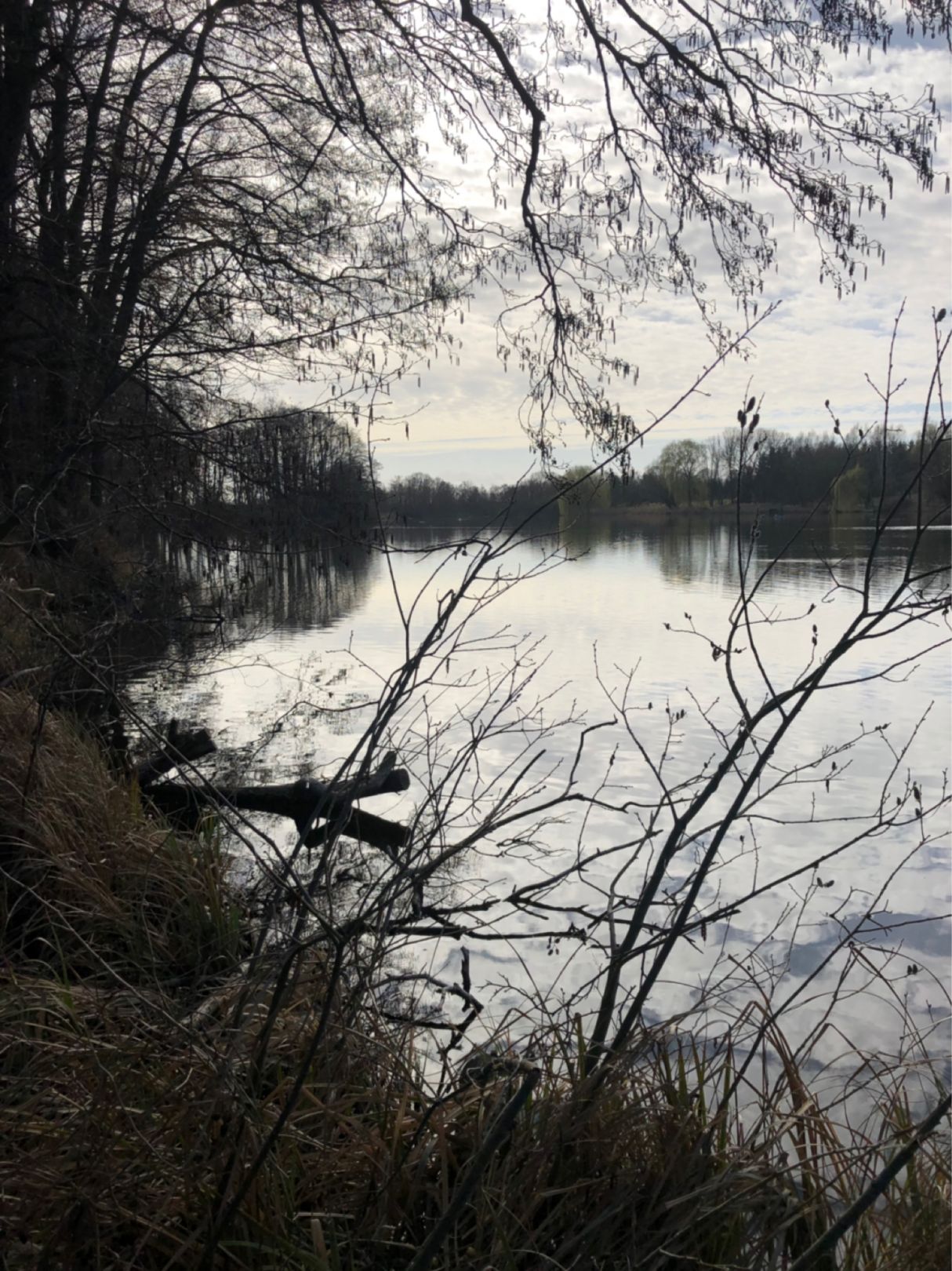 Haussee (Krummensee) angeln