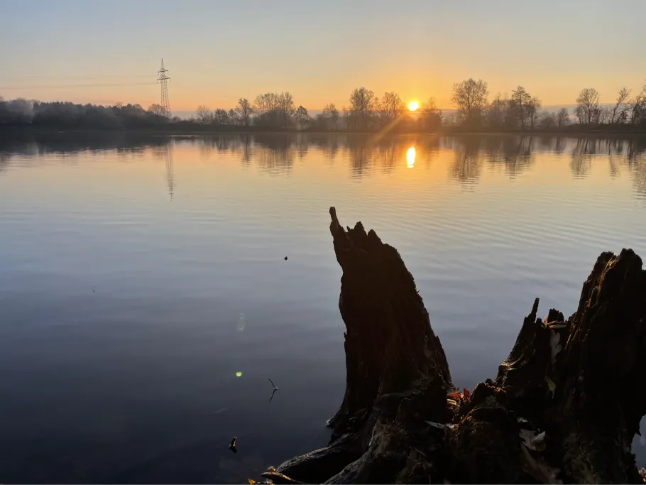 Lander (Groß Nordende) angeln