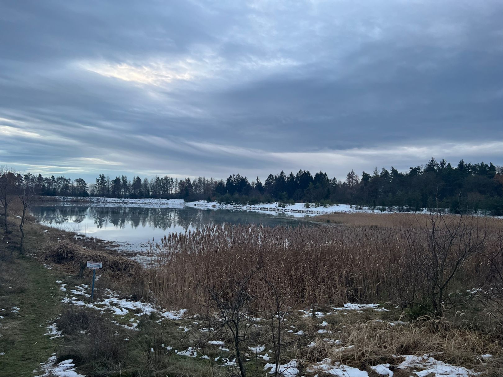 Hermannsee (Mechelroda) angeln