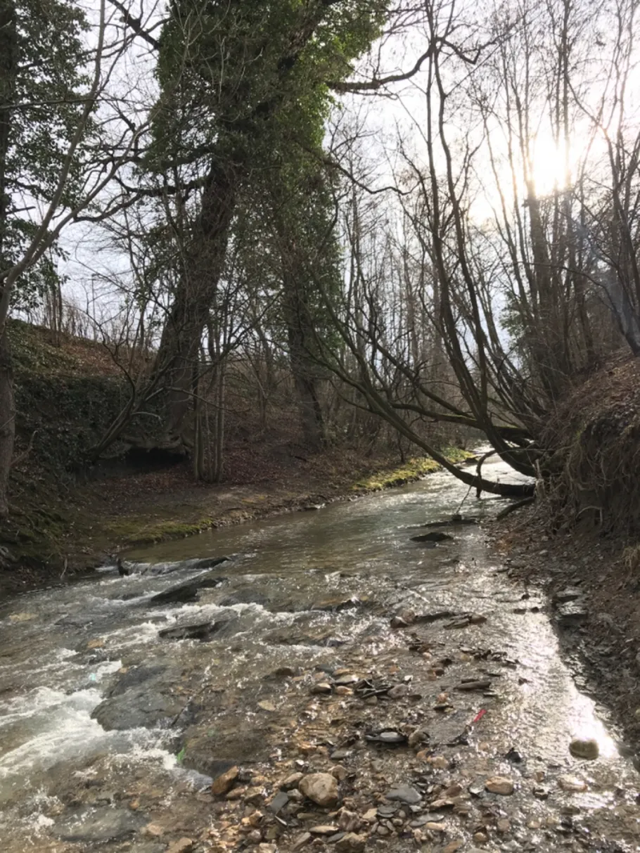Lauter (Kirchheim unter Teck) angeln