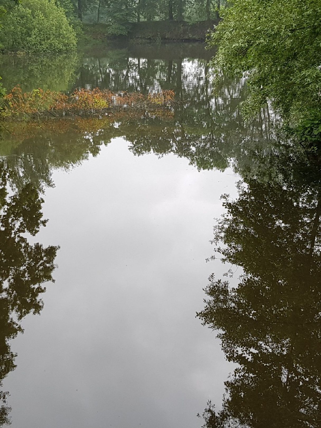 Fischteich Hochtanger Weg angeln