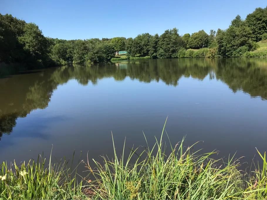 Stausee Kerpen angeln