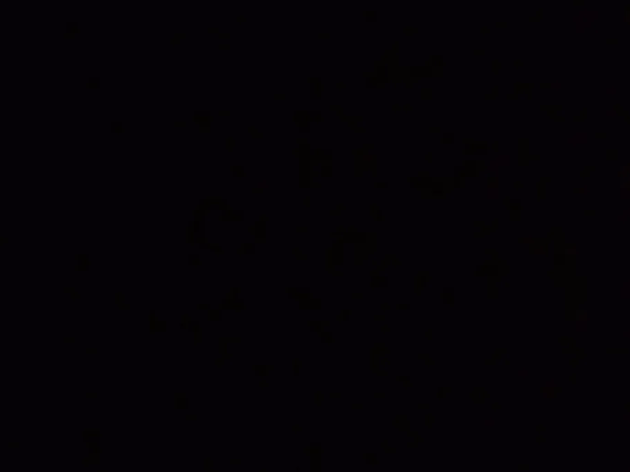 Schwarzwassergraben (Hoyerswerda) angeln