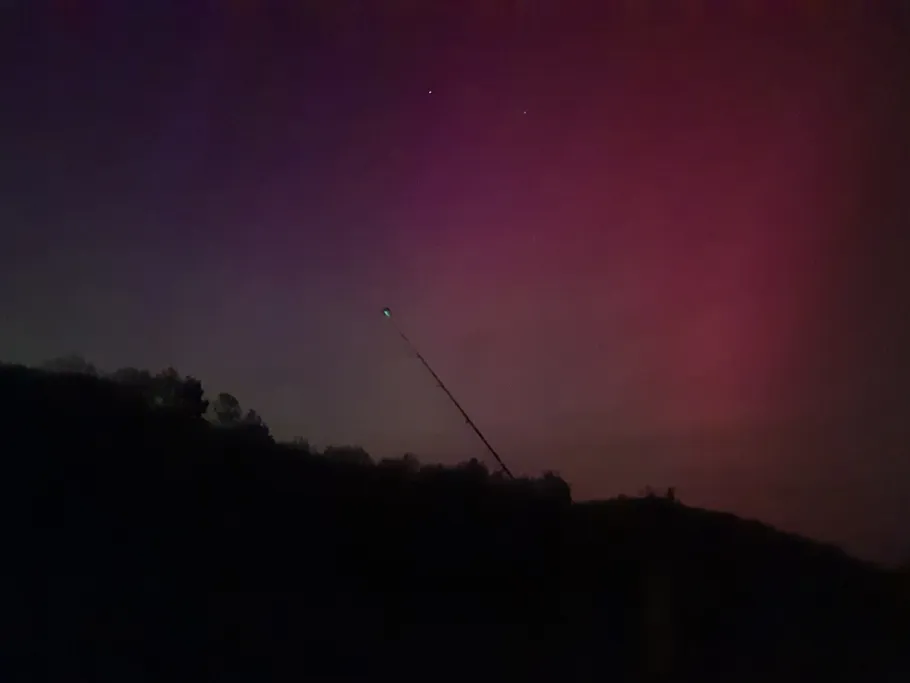 Freiberger Mulde (Leisnig) angeln