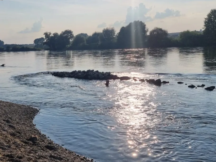 Donau (Eining) angeln