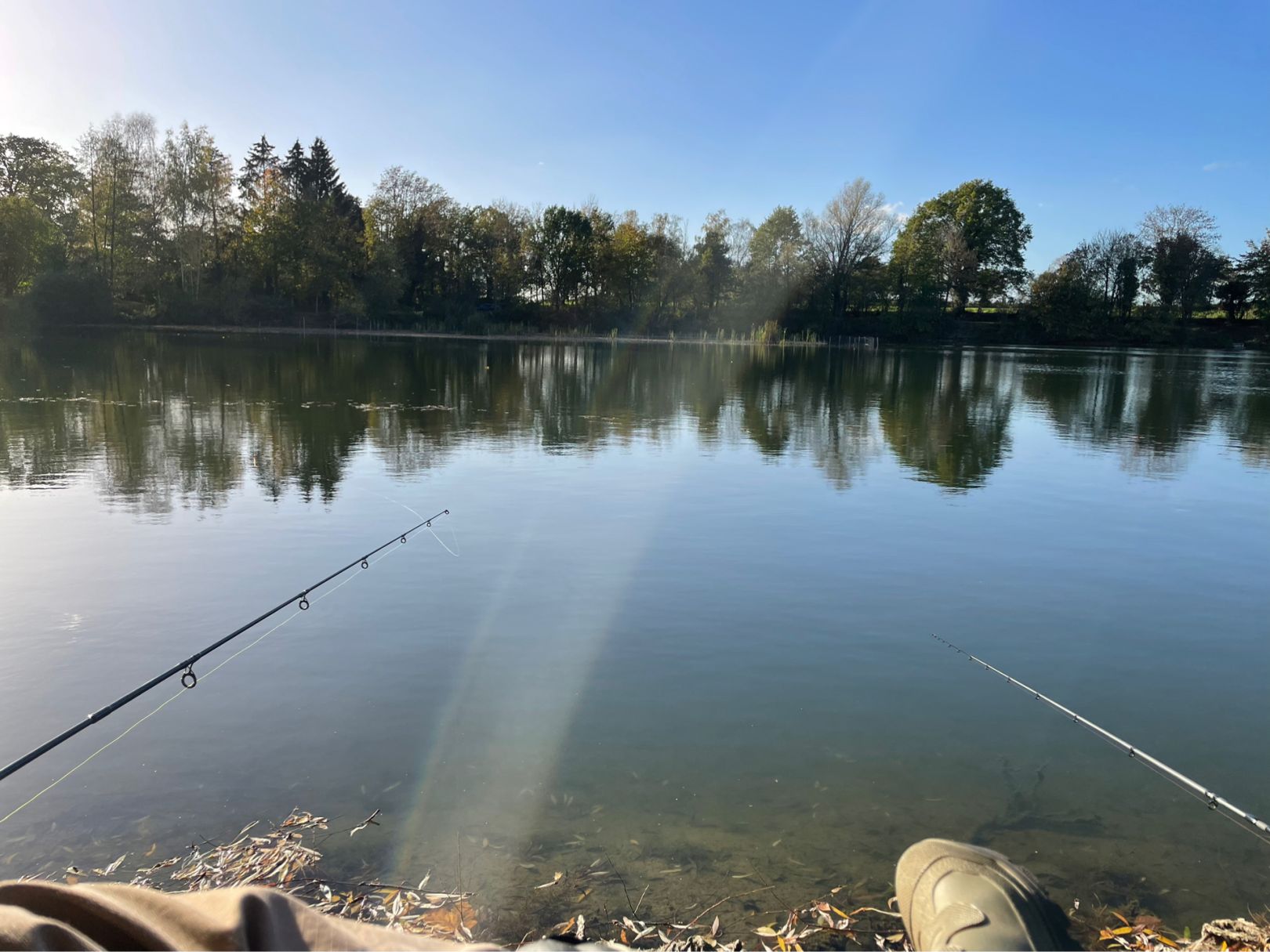 Teich Dreckhof angeln