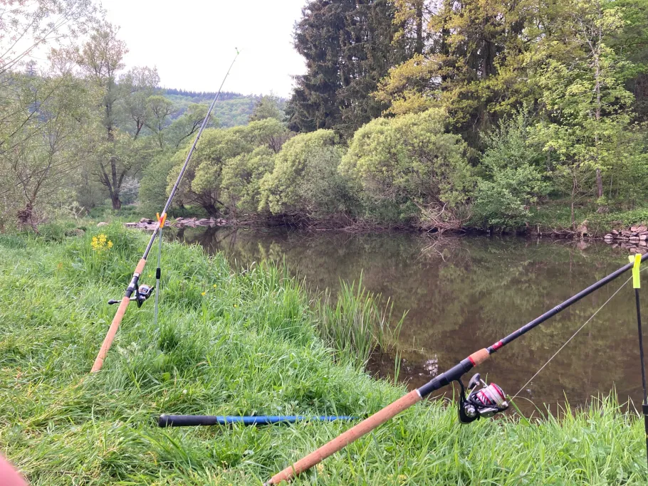 Nahe (Hammerstein) angeln