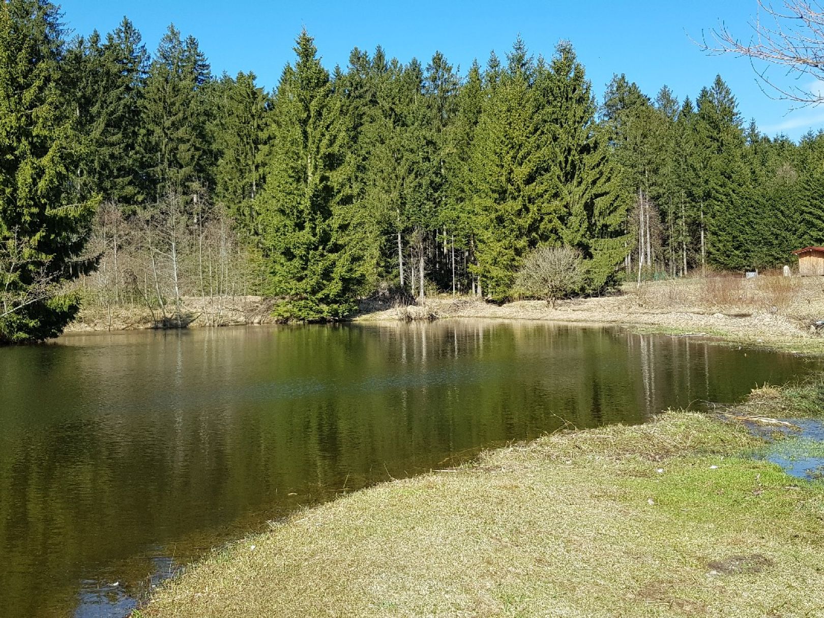 Angeln in Schlichtenberger Wald