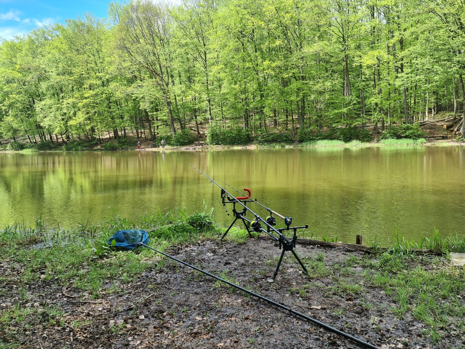 Geisheck-Weiher angeln