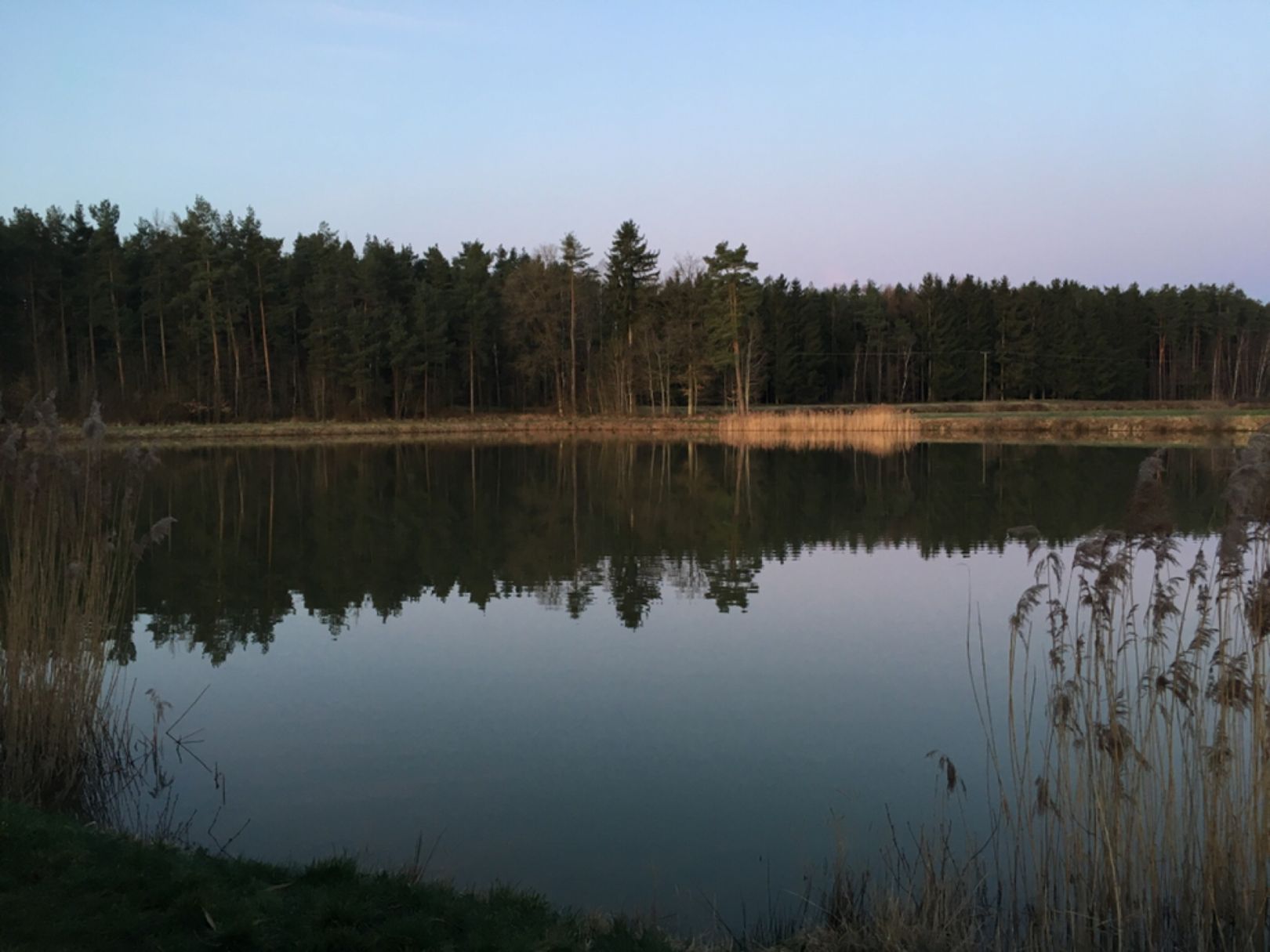 Ruppertweiher (Putzenreuth) angeln