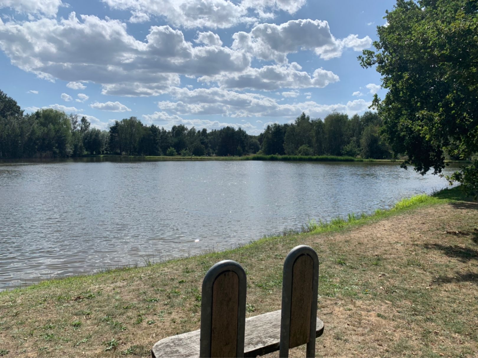 Teich Mallenchen angeln