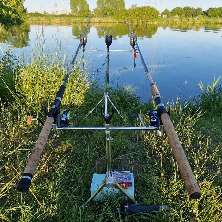 Weser (Landesbergen) angeln