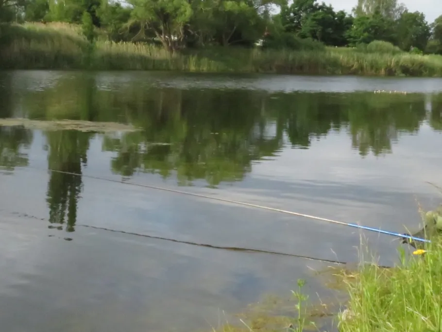 Magdalenenteich (Aken) angeln