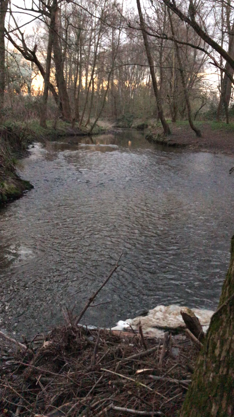 Eschbach (Frankfurt-Harheim) angeln