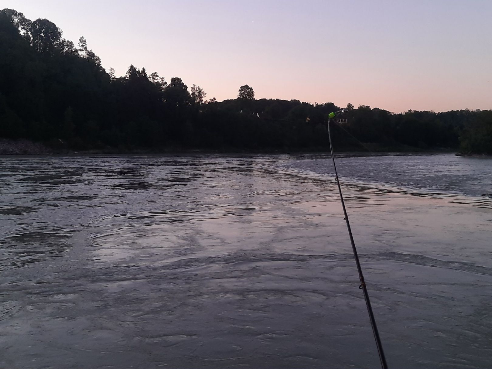 Inn (Wasserburg am Inn) angeln