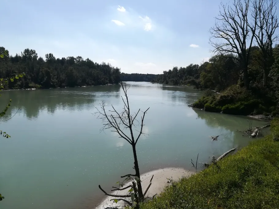 Inn (Mühldorf am Inn) angeln