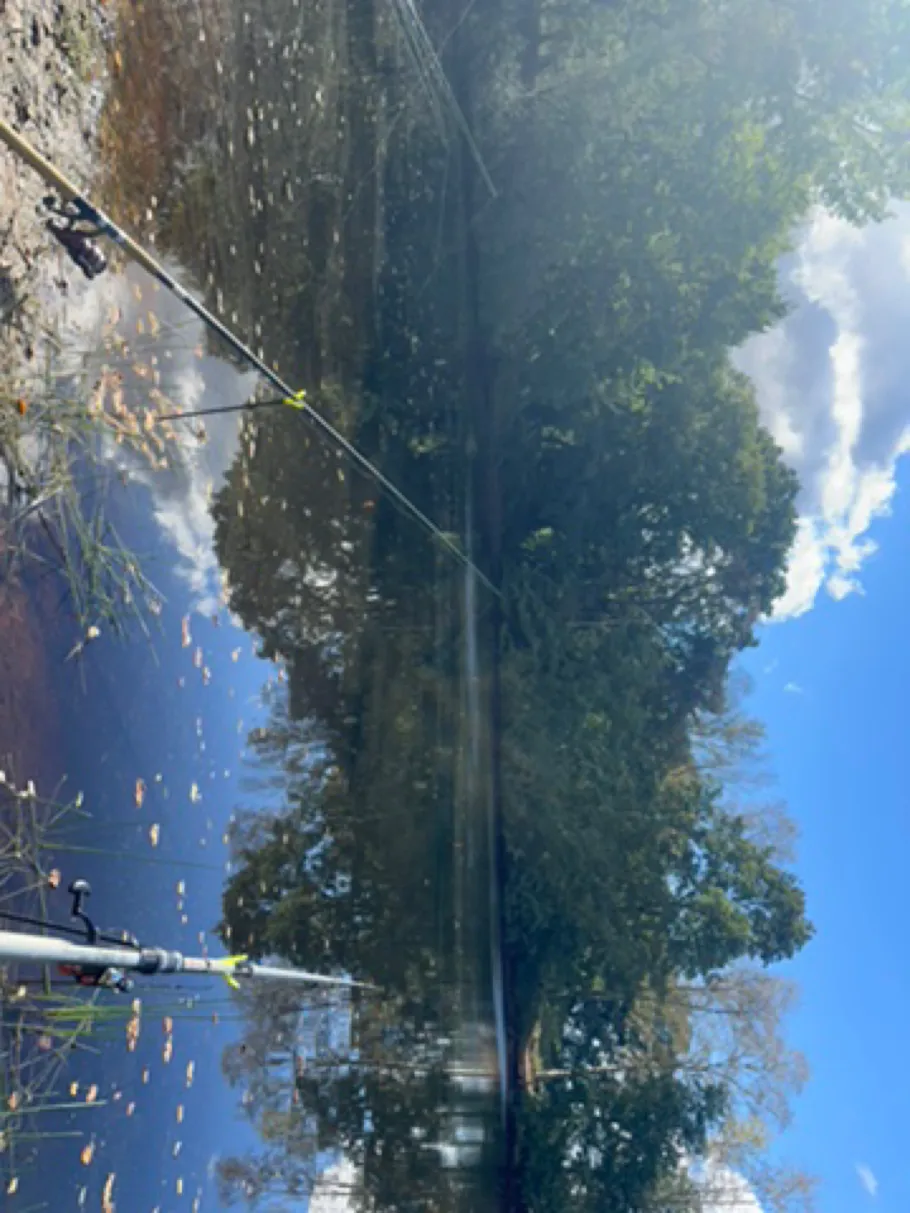 Schmidts Kuhle angeln