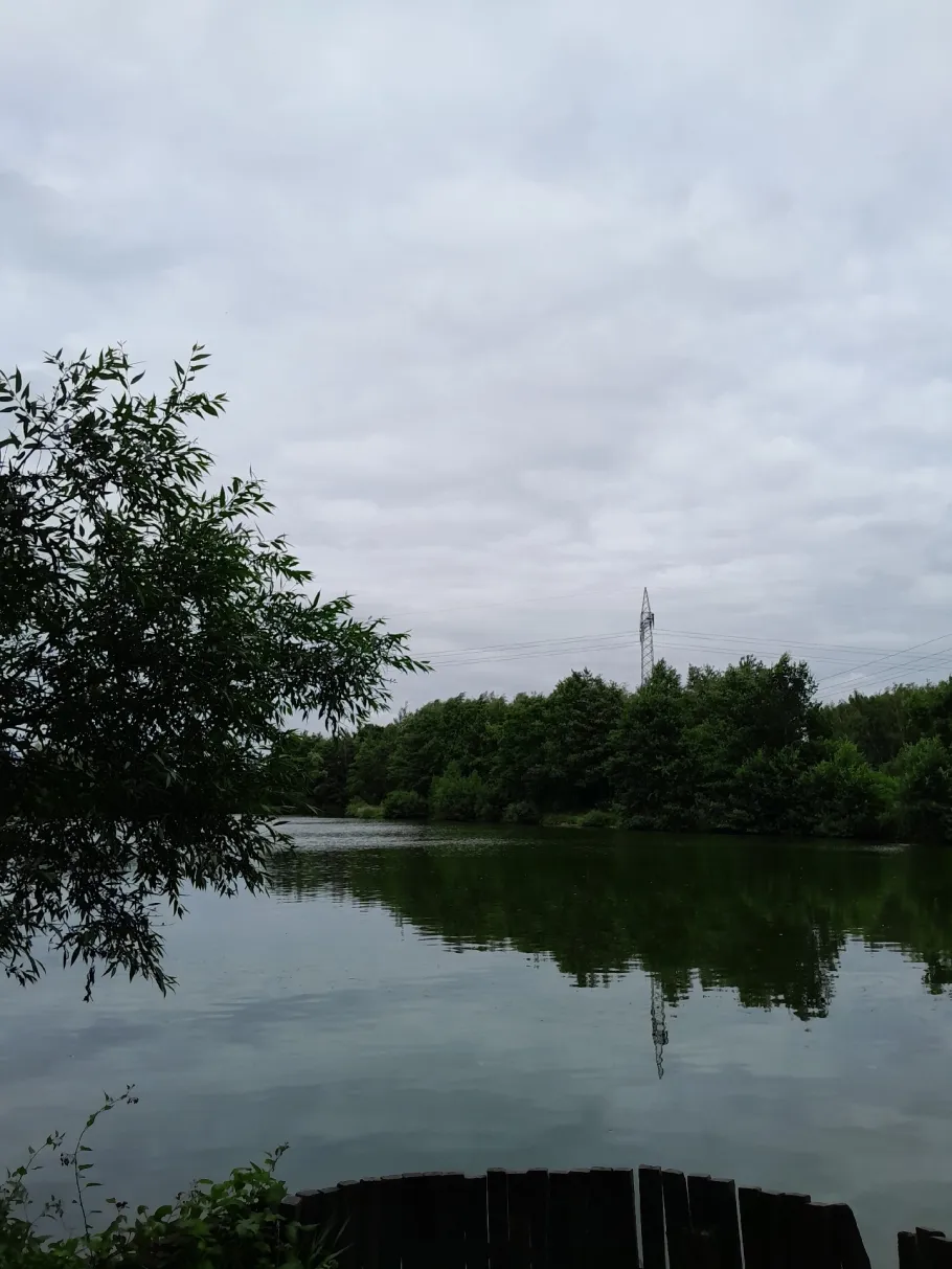 Baggersee Stedorf angeln