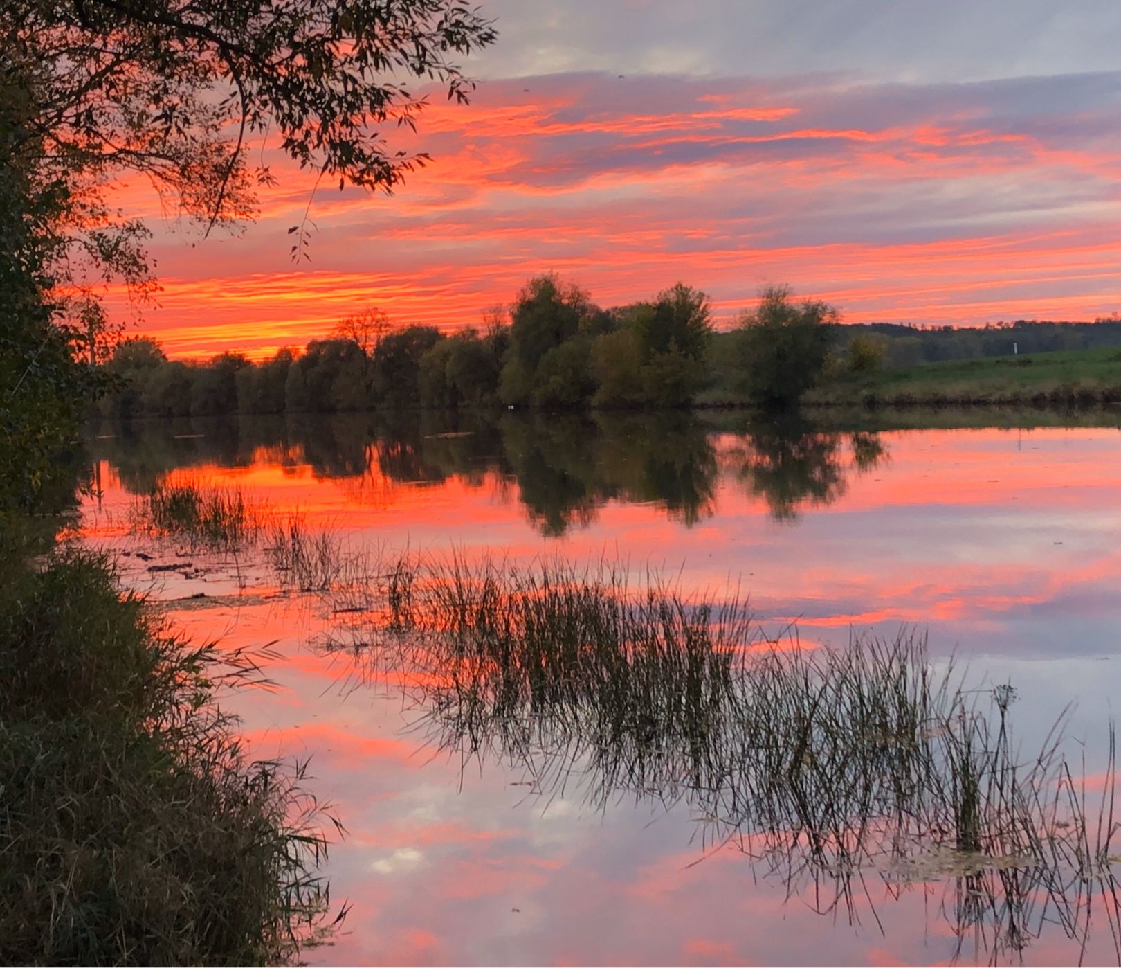 Saale (Salzmünde-Brachwitz) angeln