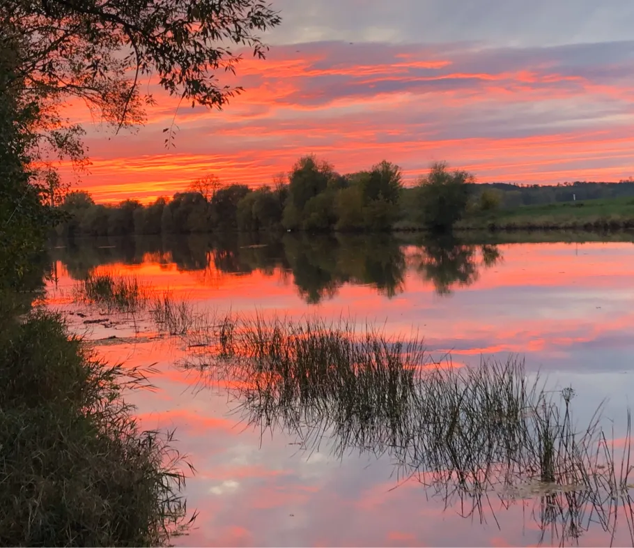 Saale (Salzmünde-Brachwitz) angeln