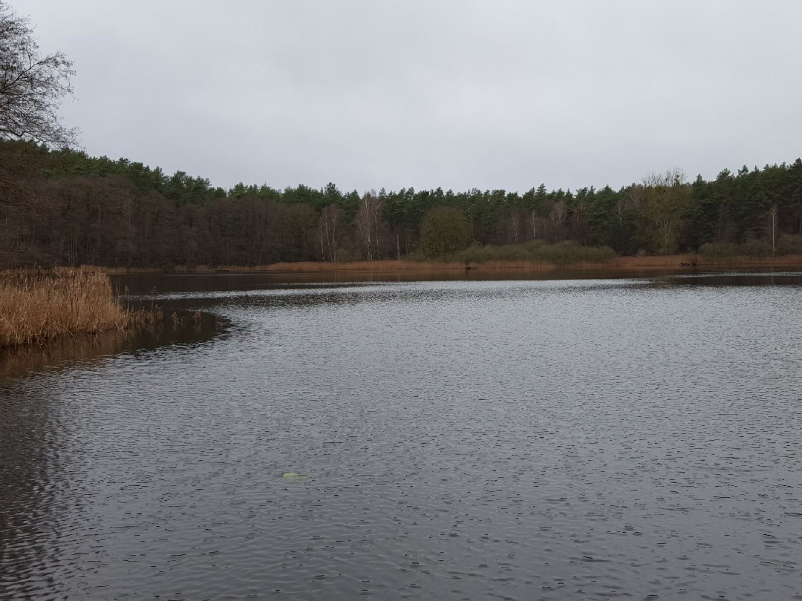 Pomelsee (Wesenberg) angeln