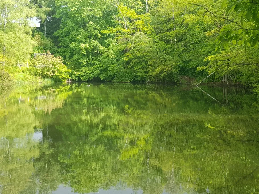 Bahnteich Flöha angeln